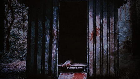 There's Nothing in the Shed