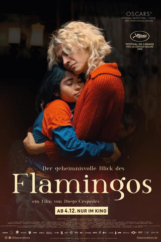 Der geheimnisvolle Blick des Flamingos