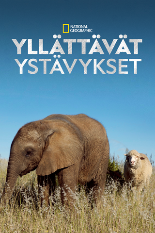 Yllättävät ystävykset