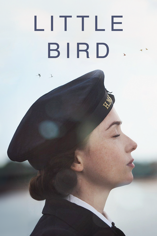 Little Bird