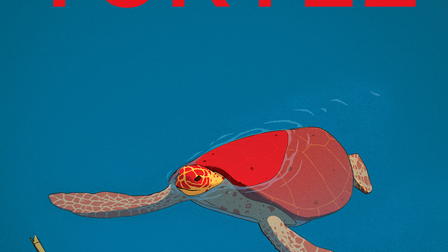 The Red Turtle
