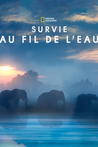 Survie au fil de l’eau