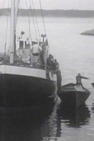 Jordgubbsbåten