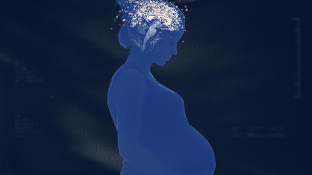Baby Brain: What's Really Going On?