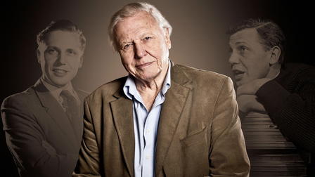 Attenborough: 60 Years in the Wild