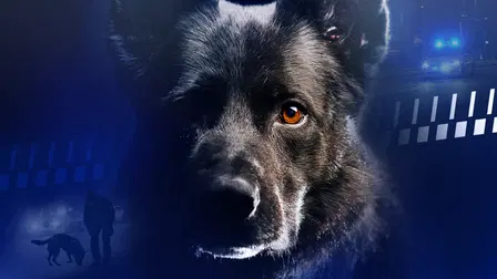 Thor - Danmarks bedste politihund