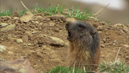 Alpine Lakes: Dark Depths and Icy Heights