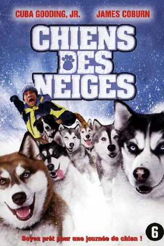Chiens des neiges