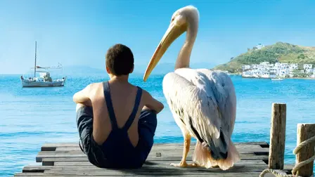 Nicostratos the Pelican