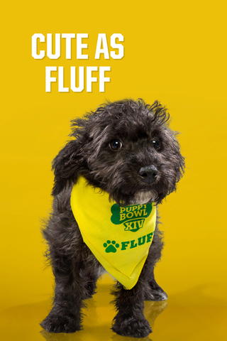 Cute As Fluff