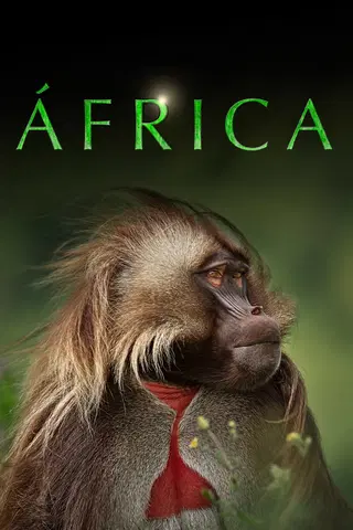 África