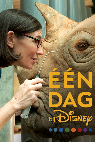 Eén dag bij Disney