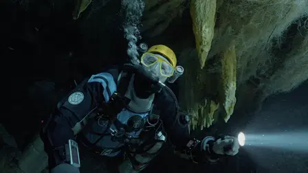 Diving Into The Darkness