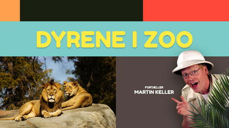 Dyrene i Zoo