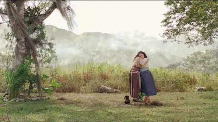 Chiapas: El Corazón Del Café