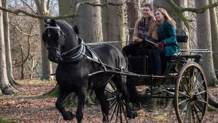 The Perfect Christmas Village