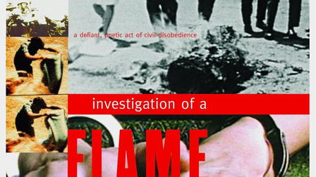 Investigation of a Flame