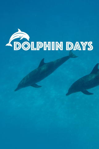 Dolphin Days