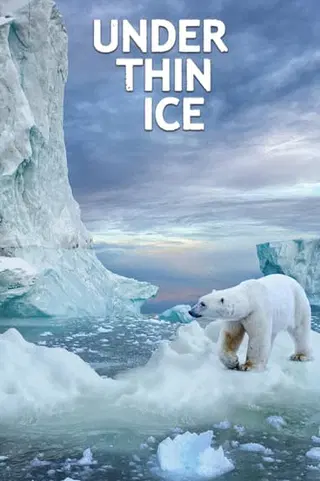 Under Thin Ice