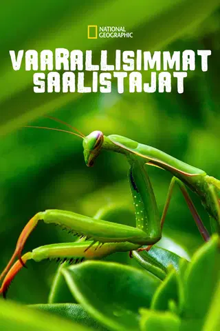 Vaarallisimmat saalistajat