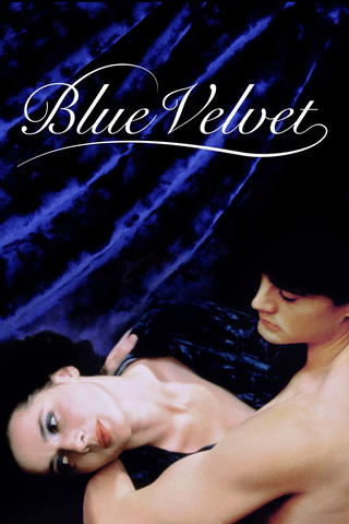 Veludo azul
