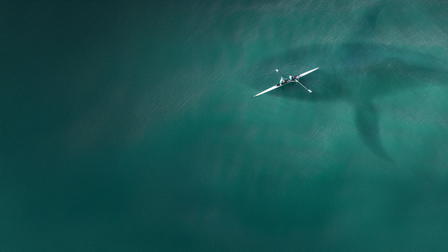 SEA HUNTERS