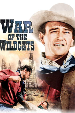War Of The Wildcats