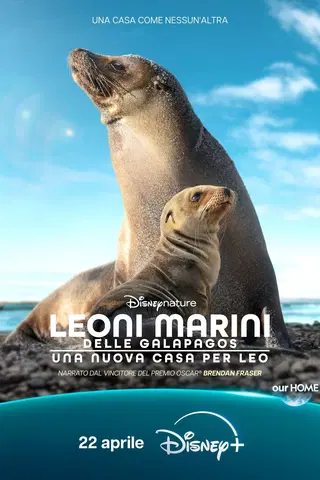 Leoni marini delle Galapagos – Una nuova casa per Leo
