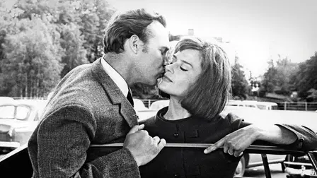 Adventure Starts Here