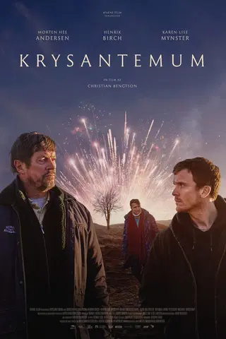 Krysantemum
