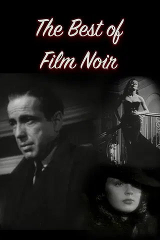 The Best of Film Noir