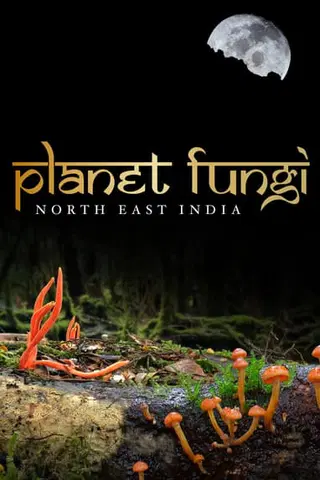 Planet Fungi: North East India