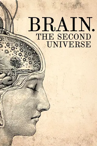 Brain.The Second Universe
