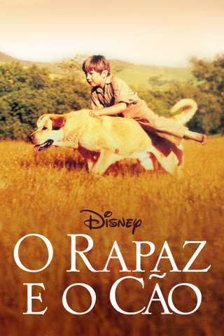 O Rapaz e o Cão