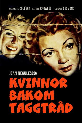 Kvinnor bakom taggtråd