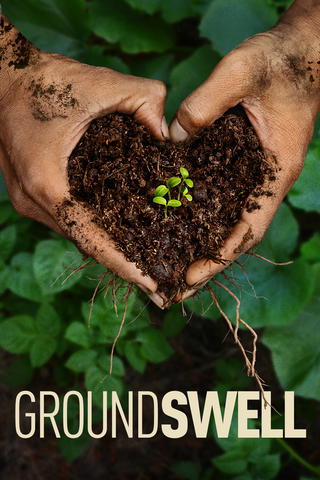 Groundswell