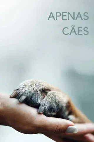 Apenas Cães
