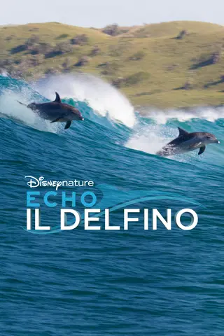 Echo - Il delfino