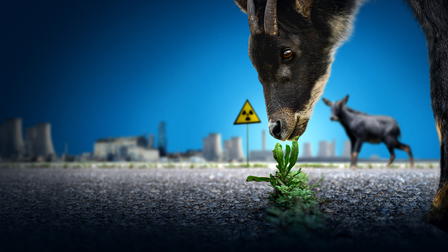 Abandoned: Uncovering Fukushima