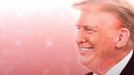 Almizcle es amor: Trump y Elon