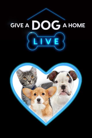 Give a Dog a Home Live!