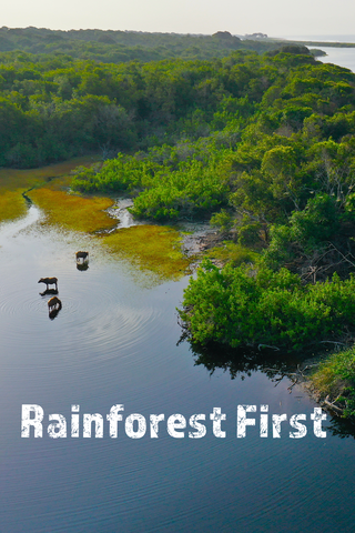 Rainforest First: Climate Protection in Central Africa