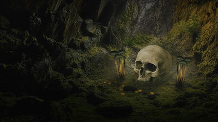 Secrets In The Jungle