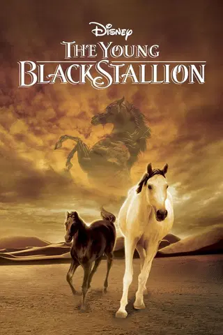 The Young Black Stallion