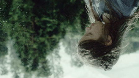 Tower. A Bright Day.