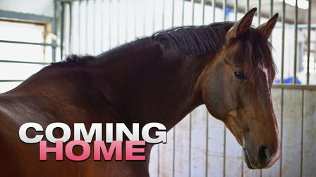 Coming Home