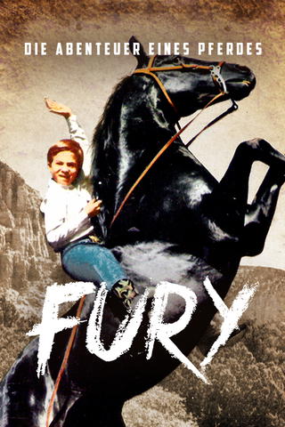 Fury - Die Abenteuer eines Pferdes