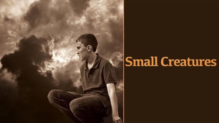 Small Creatures