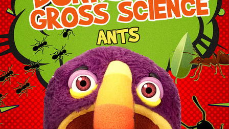 Bonksters Gross Science: Ants