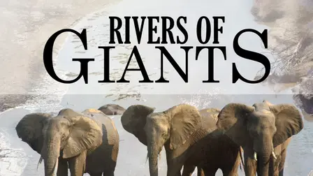 Rivers of Giants